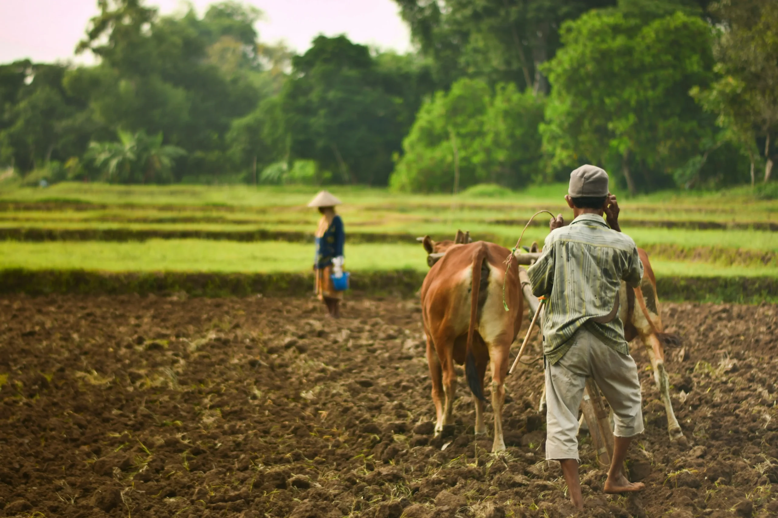 farming and Agricukture image